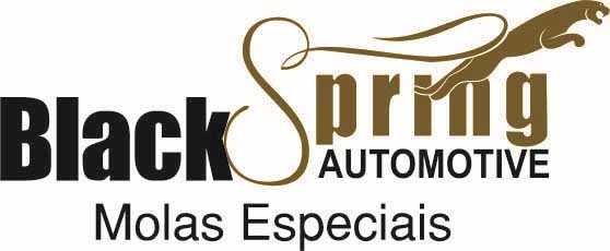 Black Spring Automotive